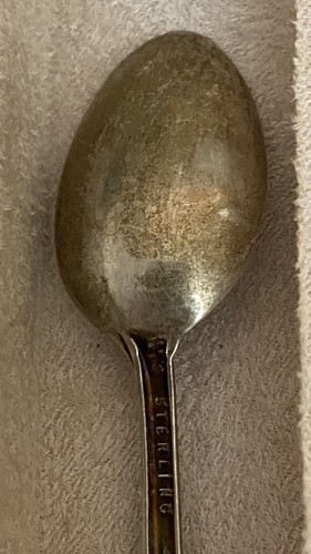 + Cucchiaio Demitasse souvenir cactus ARIZONA argento sterling BELL TRADING POST - Foto 14 di 16