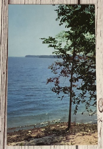Grenada Lake, Grenada MS Mississippi Vintage Postcard - Picture 1 of 2