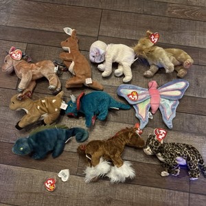 TY Beanie Babys Bears Lot of 10 All With Tags - Animals Great Condition! TY7