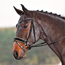 Busse Snaffle Luxury