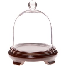 Plymor 6" x 7" Bell Jar Glass Display Dome Cloche Walnut Wood Veneer Footed Base