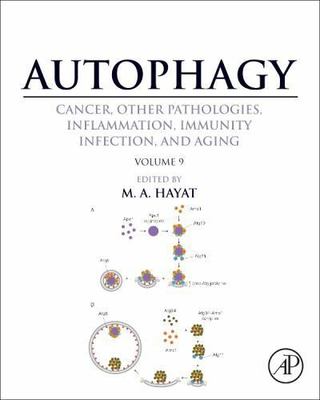 Autophagy : Cancer, Other Pathologies, Inflammation, Immunity ...