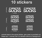 CANCER SUCKS Decals Stickers Breast BC car window truck