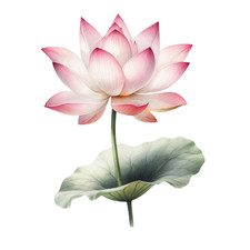 Wall decal sticker watercolor flower wall sticker 18x18 cm large