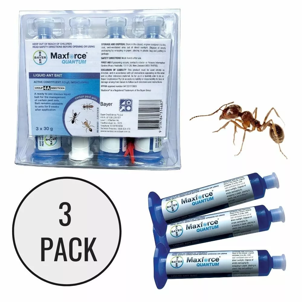 Maxforce sale ant bait