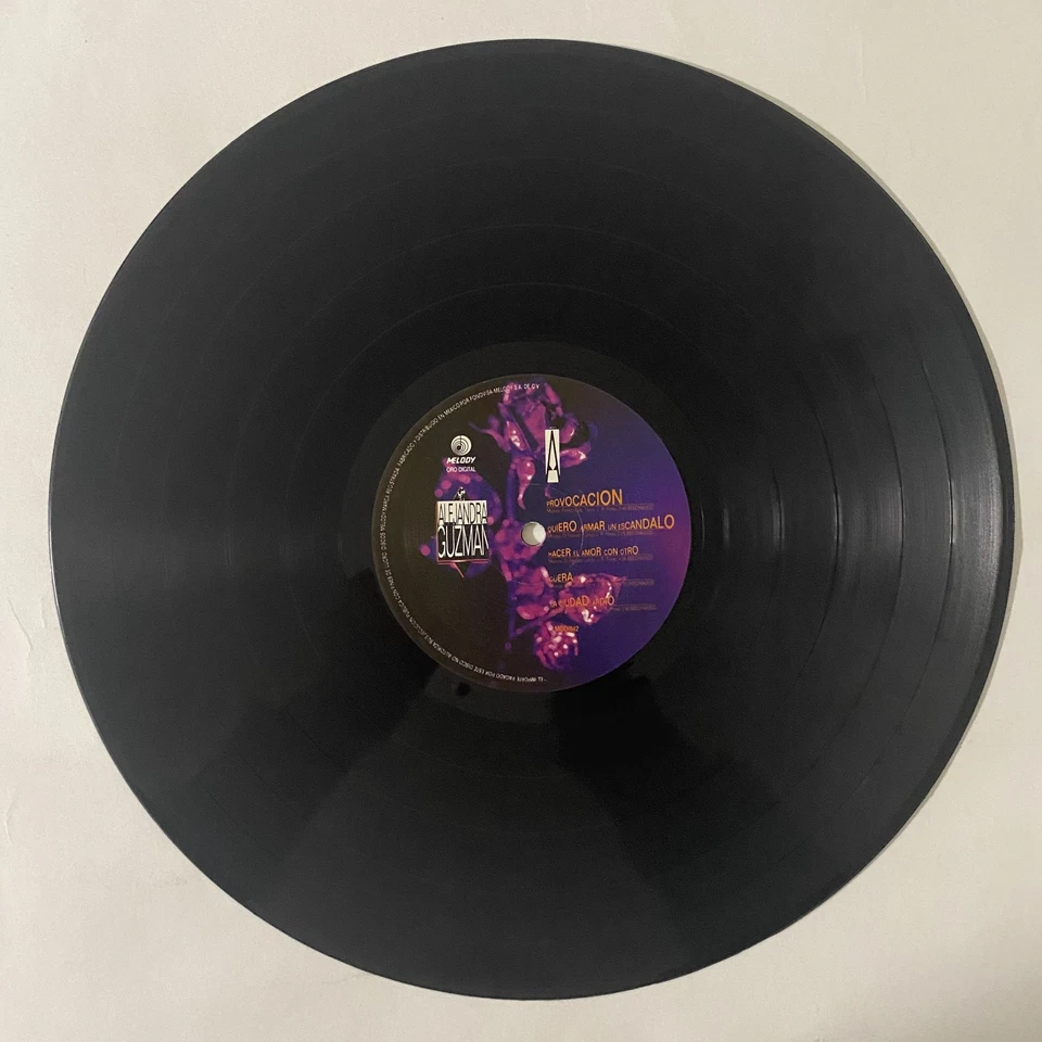ALEJANDRA GUZMAN - FLOR DE PAPEL - 1991 MEXICAN LP, LATIN POP - Image 3 of 4
