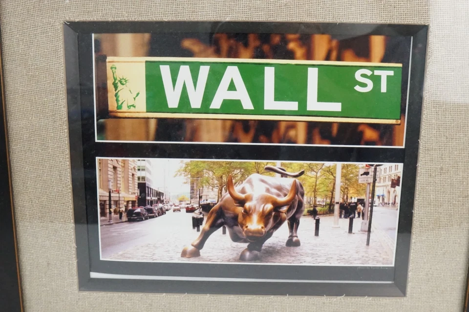 华尔街公牛相框照片 11X14 — 第 3/4 张图片
