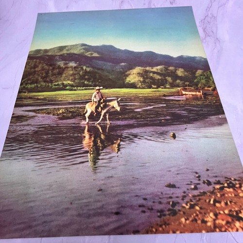 Man Riding Donkey in Water Near Hill - Retro Mexican Art 12x14" Art Print V22 - Picture 2 of 2