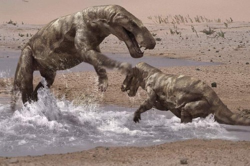 COFFRET SUR LA TERRE DES DINOSAURES - L'INTEGRALE 7 DVD - Photo 3/12