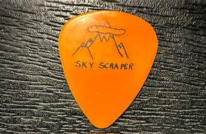 Steve Vai Pick | eBay