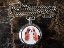 KING CHARLES SPANIEL CHROME POCKET WATCH WITH CHAIN NEW 2