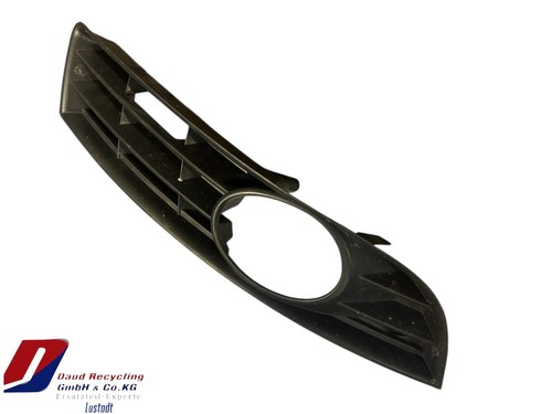 VW Passat 3C Kühlergrill