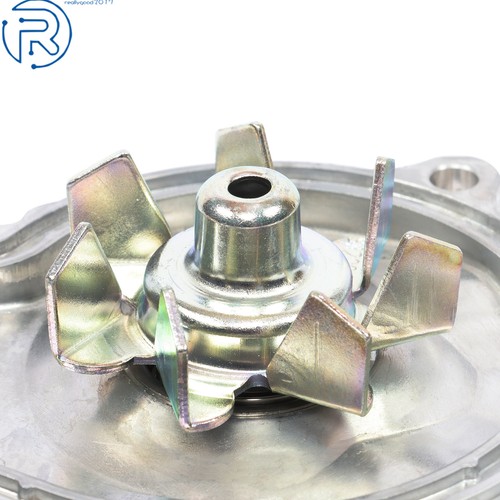 Timing Belt Water Pump Kit F23A1 F23A7 For Honda Accord Acura CL 94-02 2.3L 2.2L - Picture 4 of 14