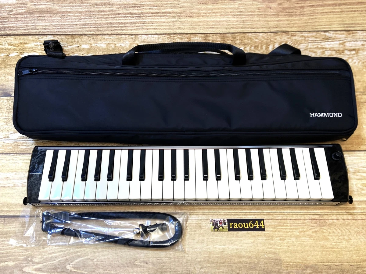 44 2024 key melodica