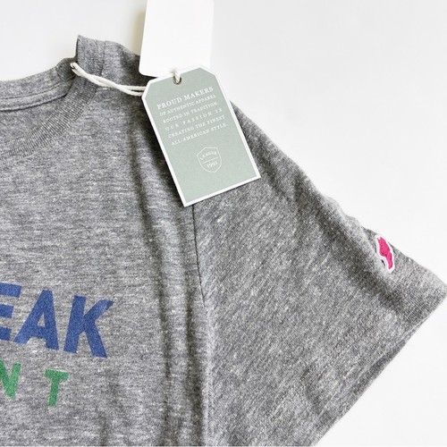 Jay Peak Vermont Ski Resort Women’s Short Sleeve Tshirt NWT L - Picture 3 of 4