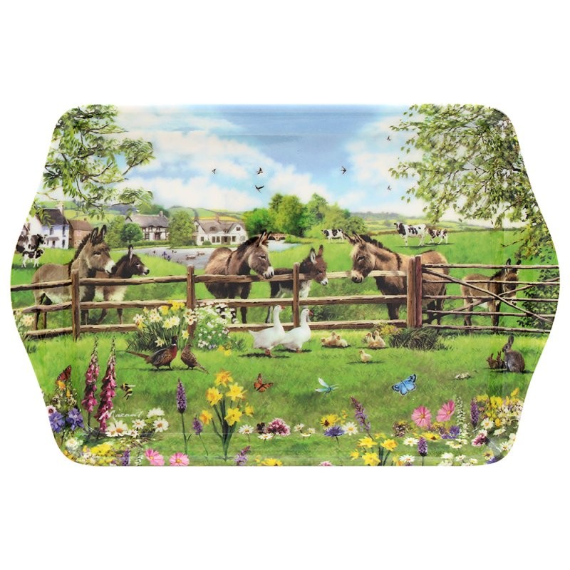 Farm Donkeys Melamine Small Rectangular Serving Tray Snacks Platter Lightweight
