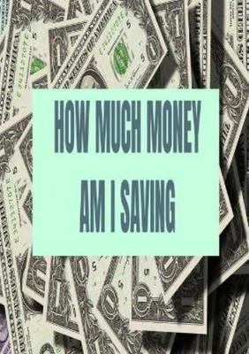 Andrew Horvitz How Much Money Am I Saving (Taschenbuch)