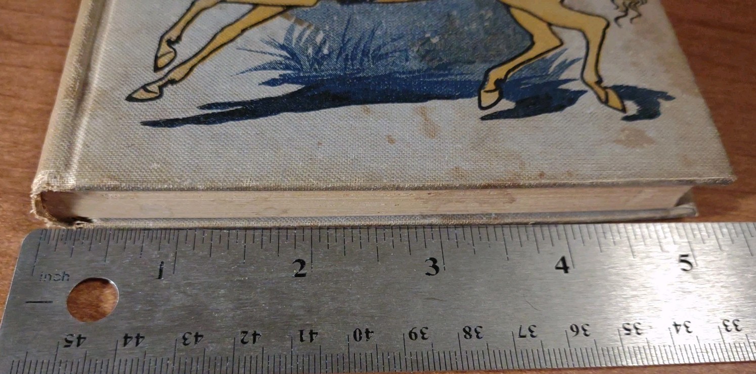 Picture 20 of 21