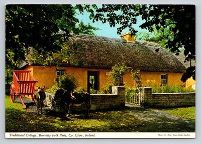 Bunratty Folk Park Ireland Traditional Cottage Donkeys John Hinde Postcard