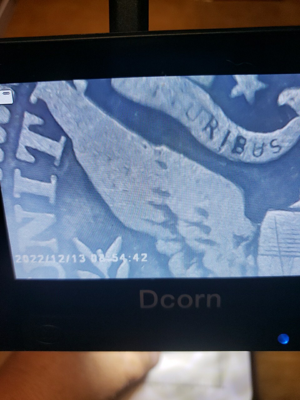 Picture 13 of 13