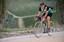 bigwave-vintage-bike