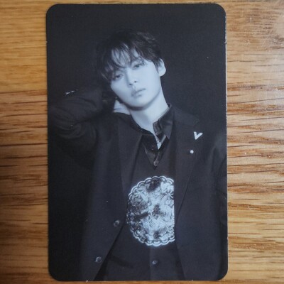 Lee Know Official Monochrome Photocard Stray Kids Hop Accordion