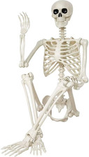 Halloween Skeleton Decorations,36" Posable Human Skeleton Decorations for Hallow