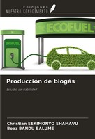 Christian Sekimonyo Shamavu (U. A.) | ProduccióN De BiogáS | Taschenbuch (2024)