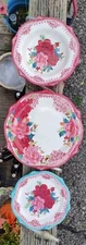 5 PIECE PIONEER WOMAN CHEERFUL 🌹 ROSE MEDALLION DINNER/SALAD PLATE & BOWL SET