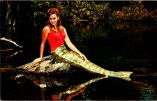 Spring Hill Florida FL : RISQUE - WEEKI WACHEE TOURIST ATTRACTION n/24 BI1412