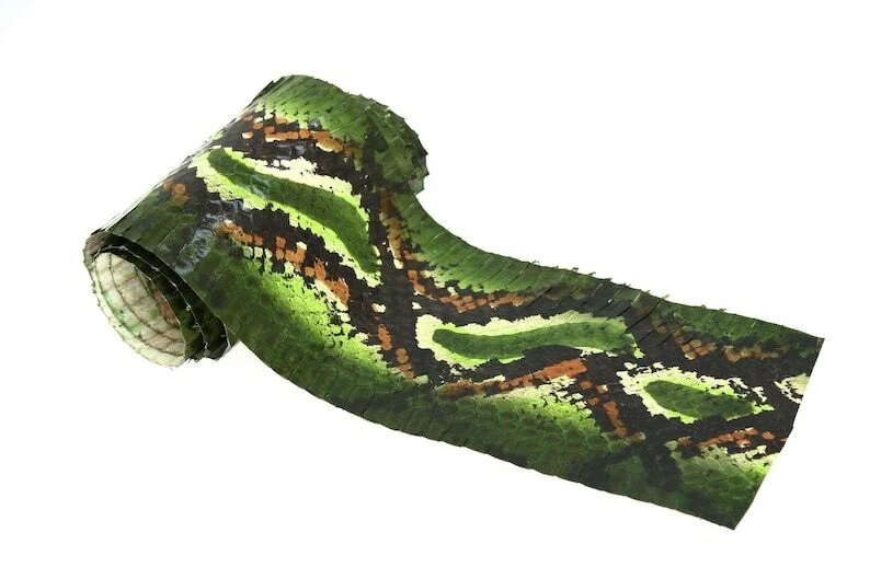 real Cobra SNAKESKIN SNAKE SKIN Hide Tanned Exotic Leather Python Print Green - Image 2 of 4