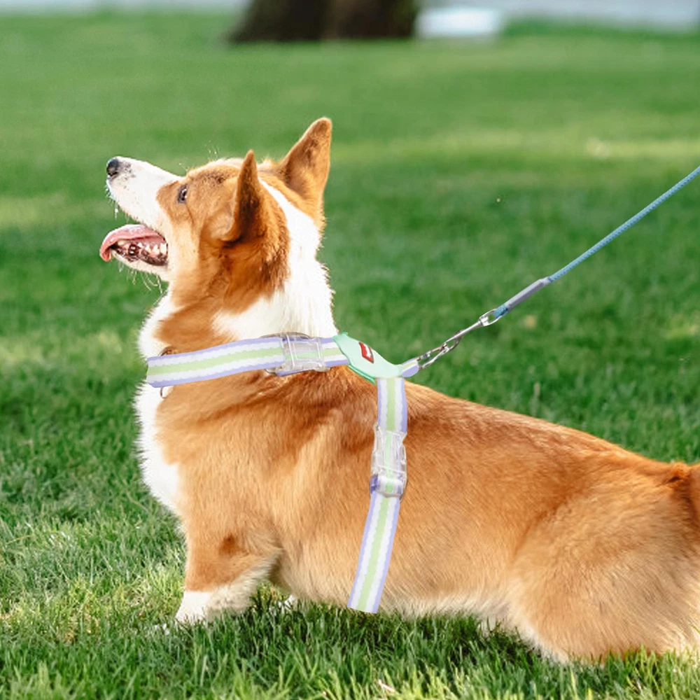 Dog Harness or Puppy Harness Dog Harness Reflective Pet