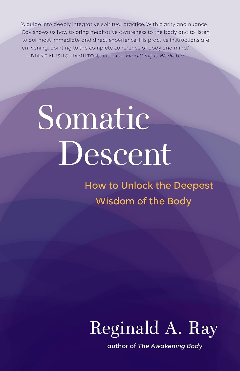 Somatic Descent by Reginald Ray (Paperback Book) - Image 9