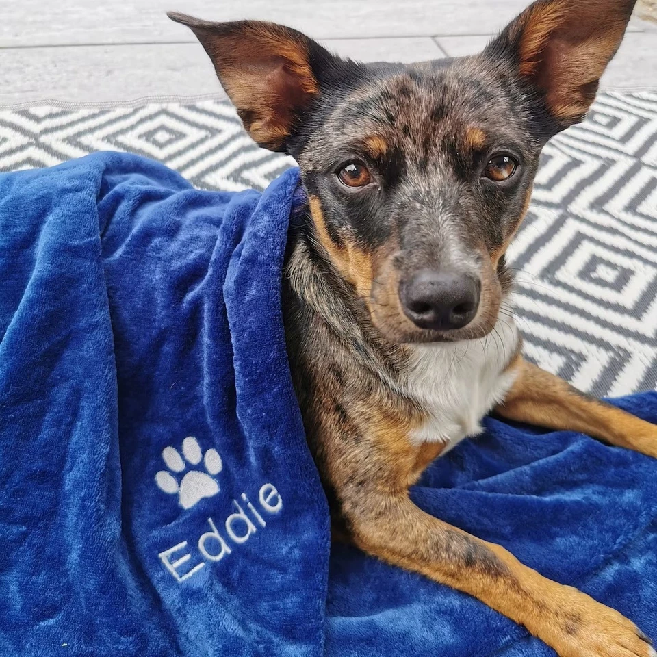 Custom Embroidered Name Personalised Pet Dog Cat Blanket Throw Flannel Xmas Gift - Image 2 of 4