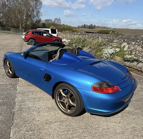 Image Placeholders2_edited.jpg