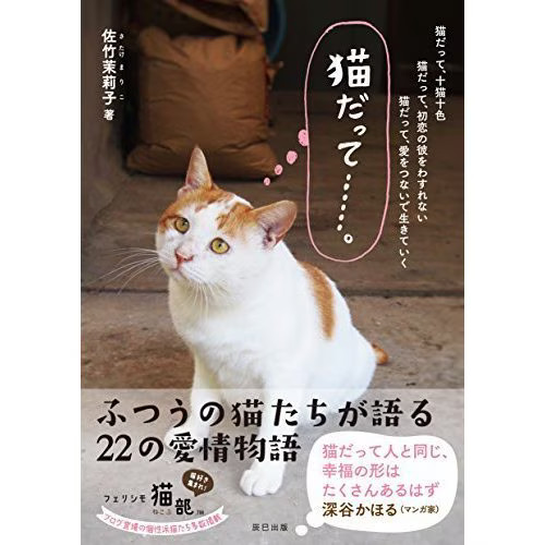 Cats Book Hardcover Japan Import Very Good