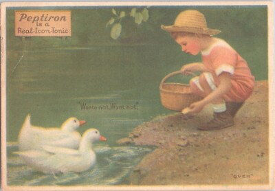 Peptiron Cure-All Quack Medicine - Antique Victorian Trade Card - Child Ducks