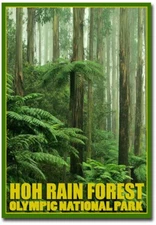 Hoh Rain Forest Olympic National Park Refrigerator Magnets Size 2.5"x 3.5"