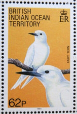 BRITISH INDIAN OCEAN TERRITORY 1990 SG98 62p. BIRDS - WHITE TERN -  MNH