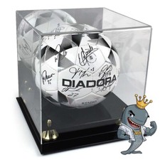 BCW Acrylic Soccer Volleyball Display Gold Risers/Mirror FREE SHIP