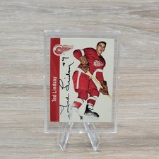 Detroit Red Wings Collecting and Fan Guide 85