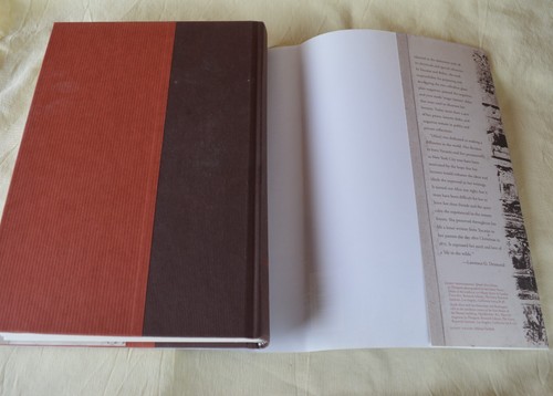 c2009 HCDJ Yucatan Through Her Eyes by Lawrence Gustave Desmond re: Alice Dixon - Picture 17 of 20