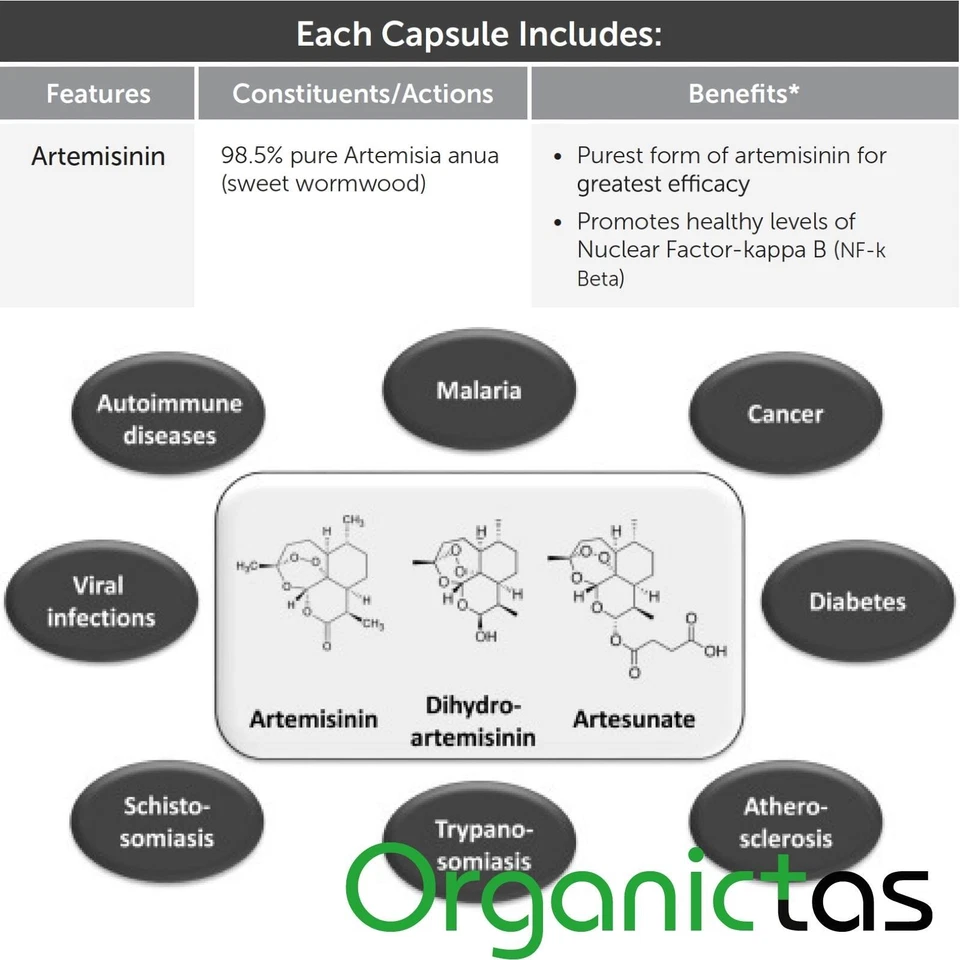 ARTEMISININ PLUS Supplement 60 Capsules Premium Quality Natural Product - Image 4 of 4