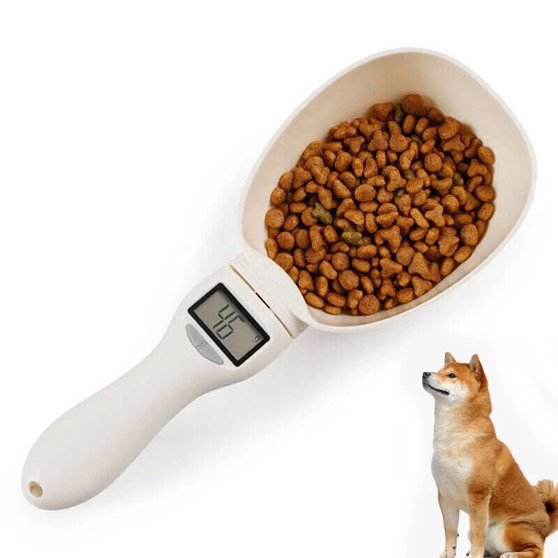 Dog feeding cup 2025