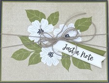 Stampin  Up Every Occasion