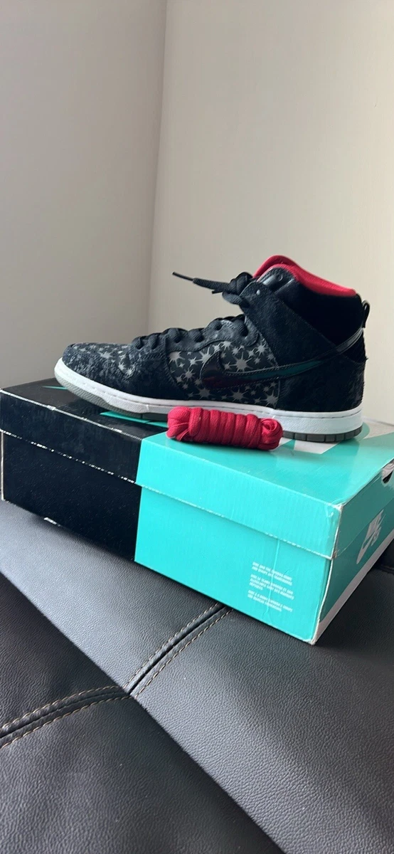 Nike Brooklyn Projects x Dunk Premium SB High Paparazzi for Sale