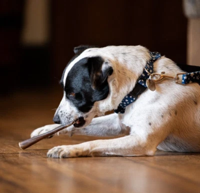 Bulk Venison Dog Chews (1kg) | Hypoallergenic | Single Protein | The Canine Menu