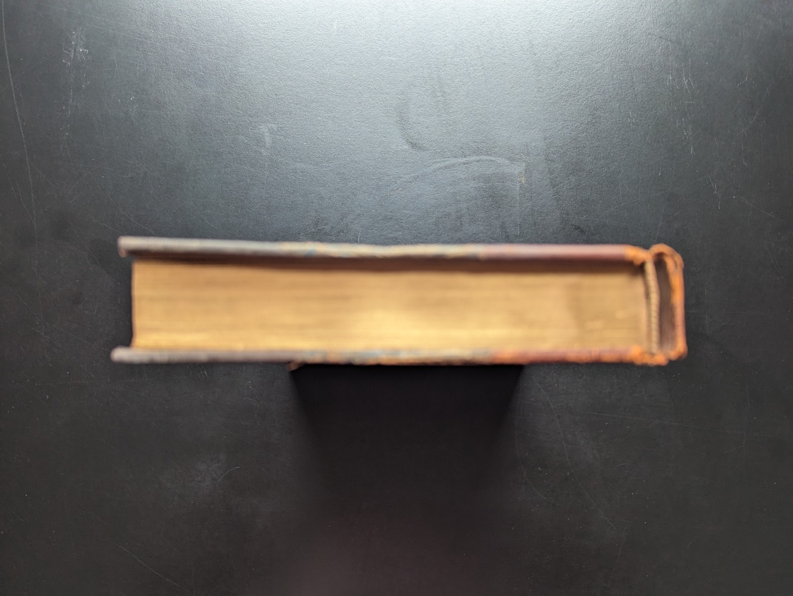 Evenings at the Microscope Gosse 1902 Appleton HC Illustrated Natural History