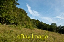 Photo 6x4 Saltbox Hill LNR  c2012