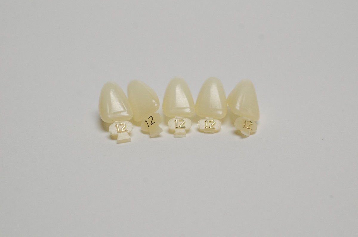 DENTAL POLYCARBONATE TEMPORARY CROWNS 12 (URC) UPPER RIGHT CENTRAL 5